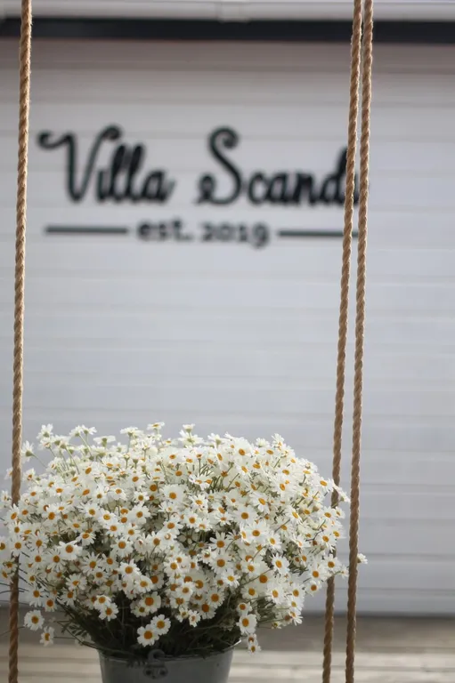 Гостевой дом Villa Scandi средний