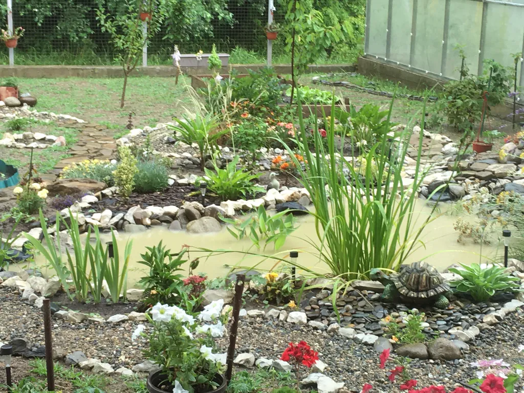 Квартира Апартаменты Лесная Сказка — Раздольное