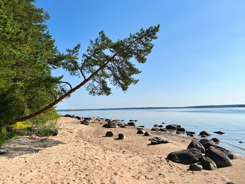 Коттедж Коттедж Гармония леса на берегу озера Волго на Селигере — Турбаза Чайка