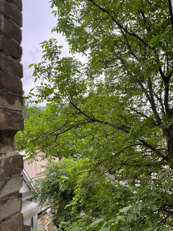 Апартаменты-студия в особняке XIX века