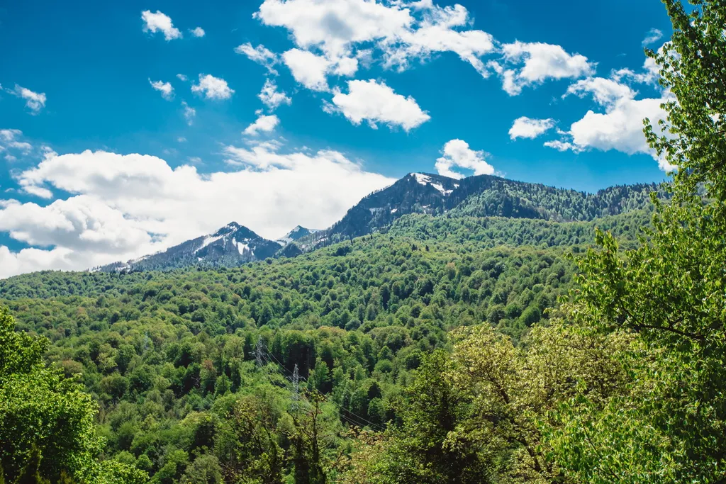 Lux Chalet Mountain View Best Place of Polyana