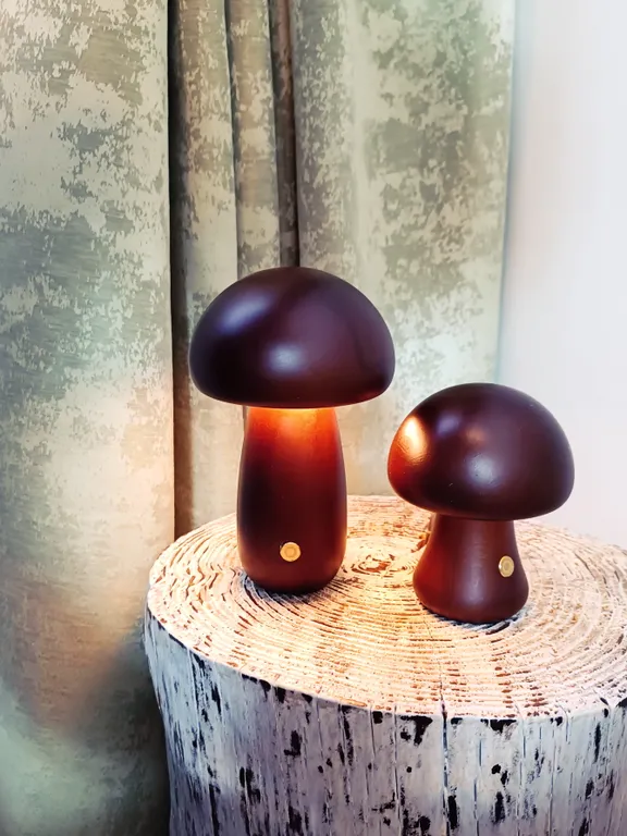 Дом-дуплекс