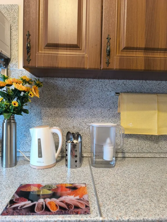 Квартира рядом с лыжной базой в Новоильинском районе