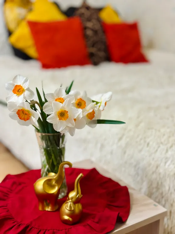 Уютная квартира в самом центре Великого Новгорода