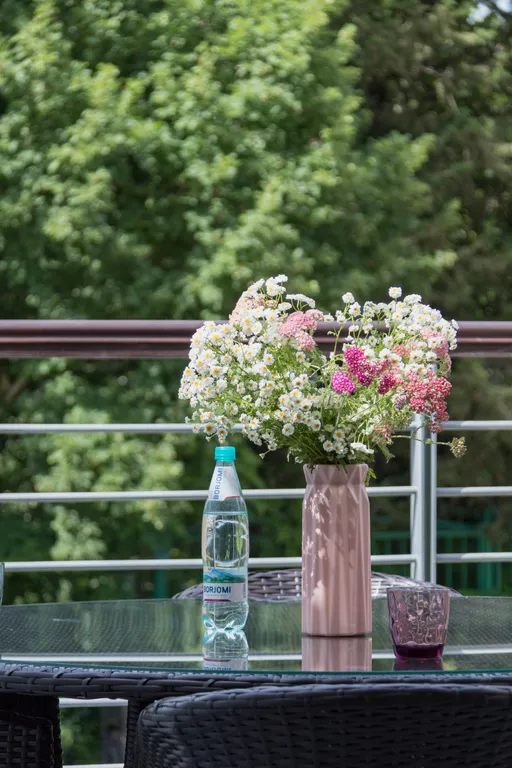 Квартира, апартаменты, Сочи, Дагомыс, бассейн, частный пляж, парковка