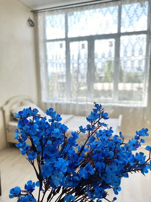 2-комнатная Квартира — аренда посуточно в Кисловодск