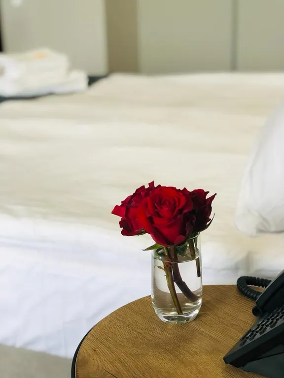 Квартира Квартира Большая студия Море внутри — Светлогорск