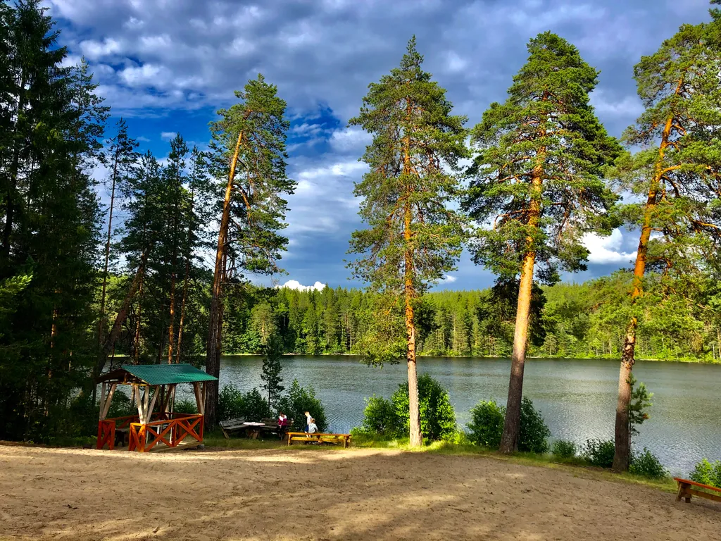 Уютный дом в Карельской деревне