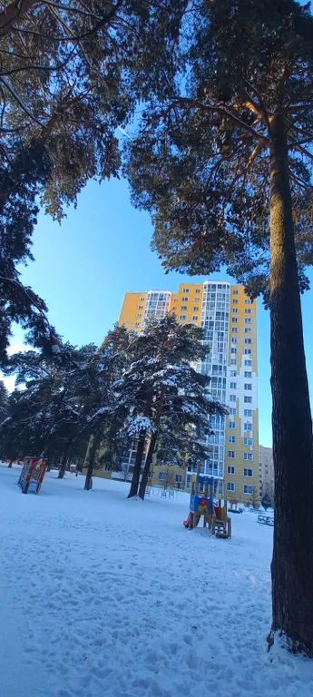 Апартаменты в сосновой роще