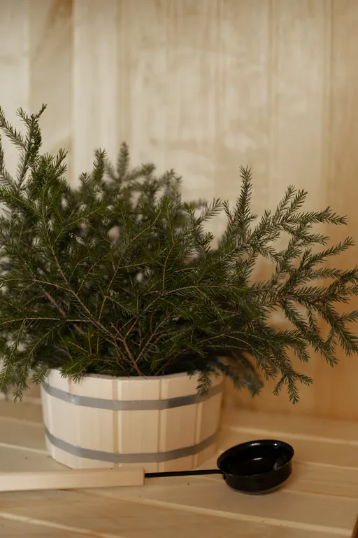 Коттедж Дом с видом на лес, сауной, 5 минут по лесной тропе до озера — Тосно