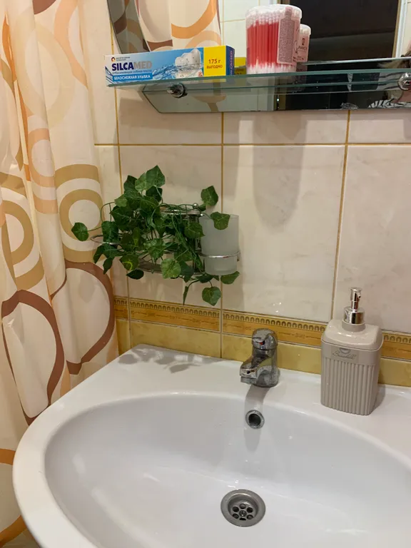 Дом с видом на Ледовый дворец