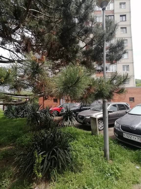 Уютная квартира у моря