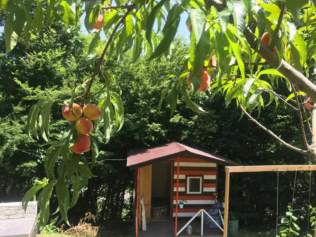 Дом в горах с видом на реку