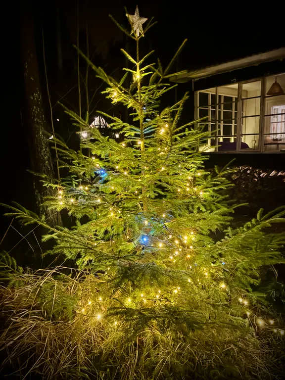 Прекрасный дом для отдыха в Комарово