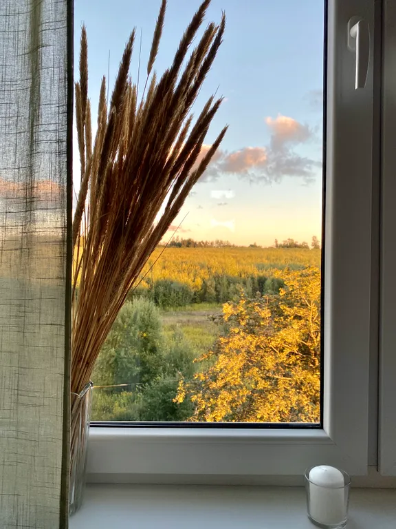 Квартира Квартира Апартамент Mint — Светлогорск