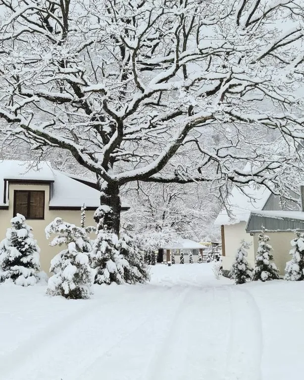 Большой дом у реки в горах с баней и чаном