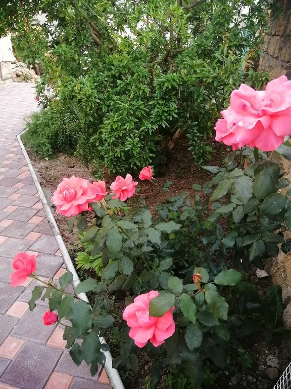 Гостевой двор