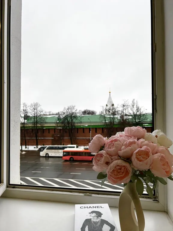 Квартира с видом на Кремль
