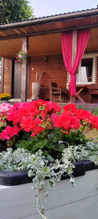 Усадьба Деревенский рай в Беловежской пуще