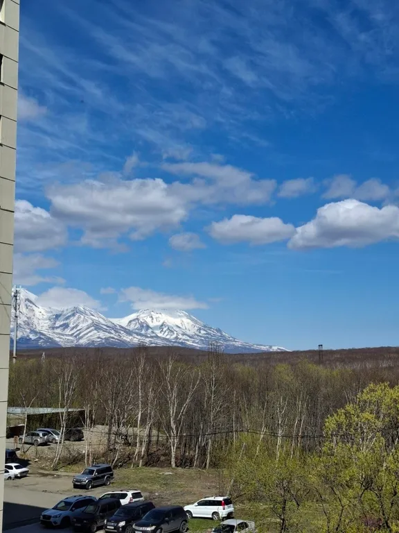 Уютная, комфортная квартира