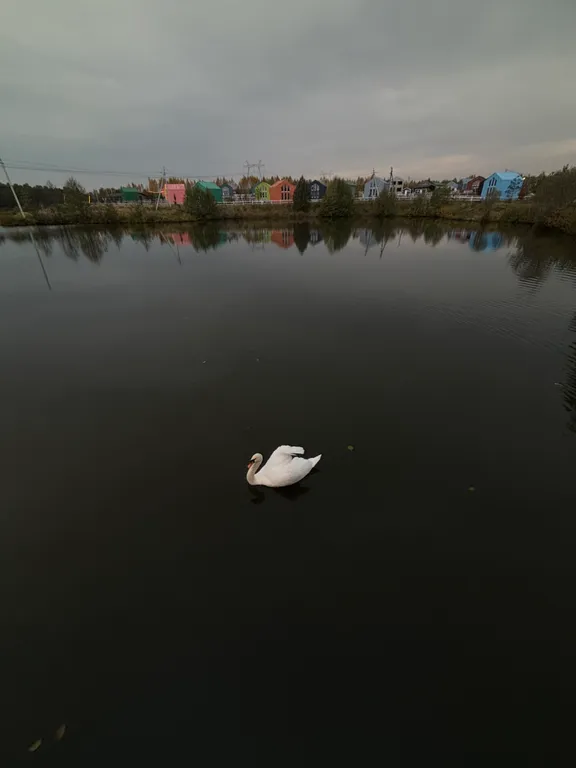 Дом в легендарном поселке Болотов Дача