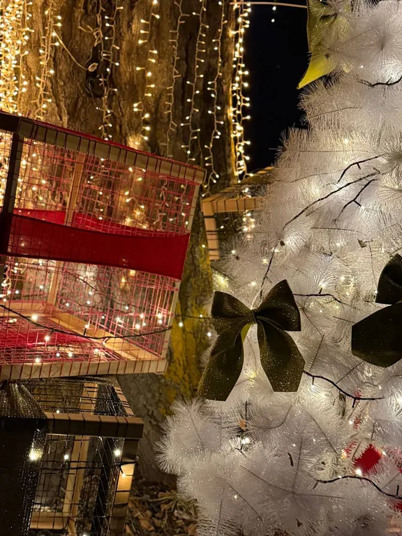 Коттедж 2-комнатный Дом — Архыз