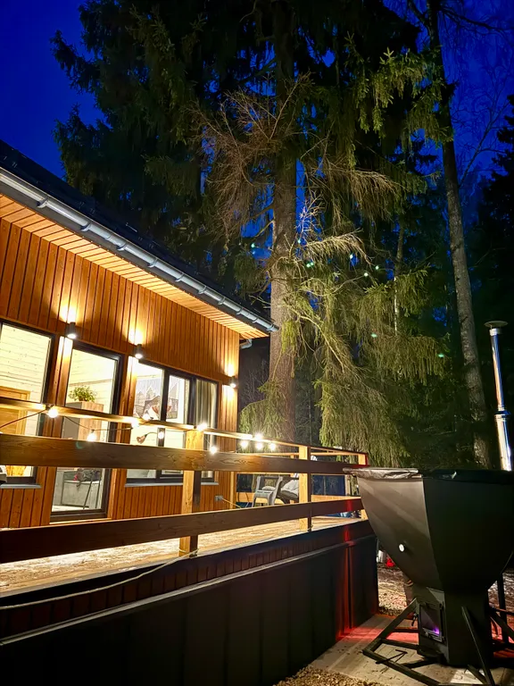 Дом с чаном и сауной в лесу