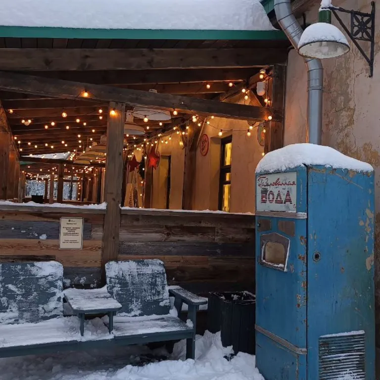 Студия с видом на Шуваловский парк