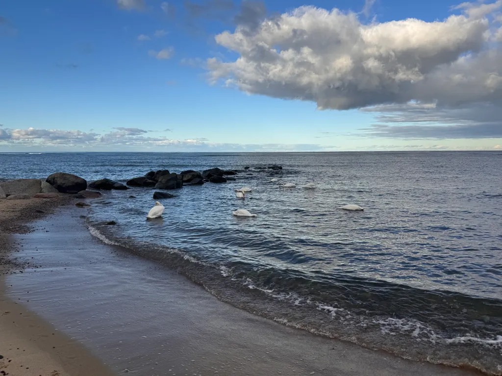 Квартира у моря