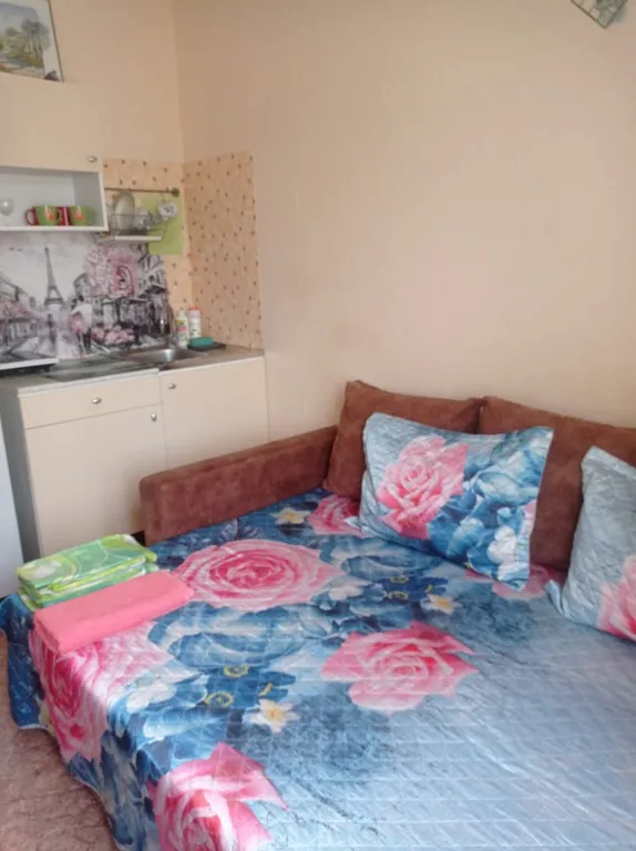 Уютная квартира около озера