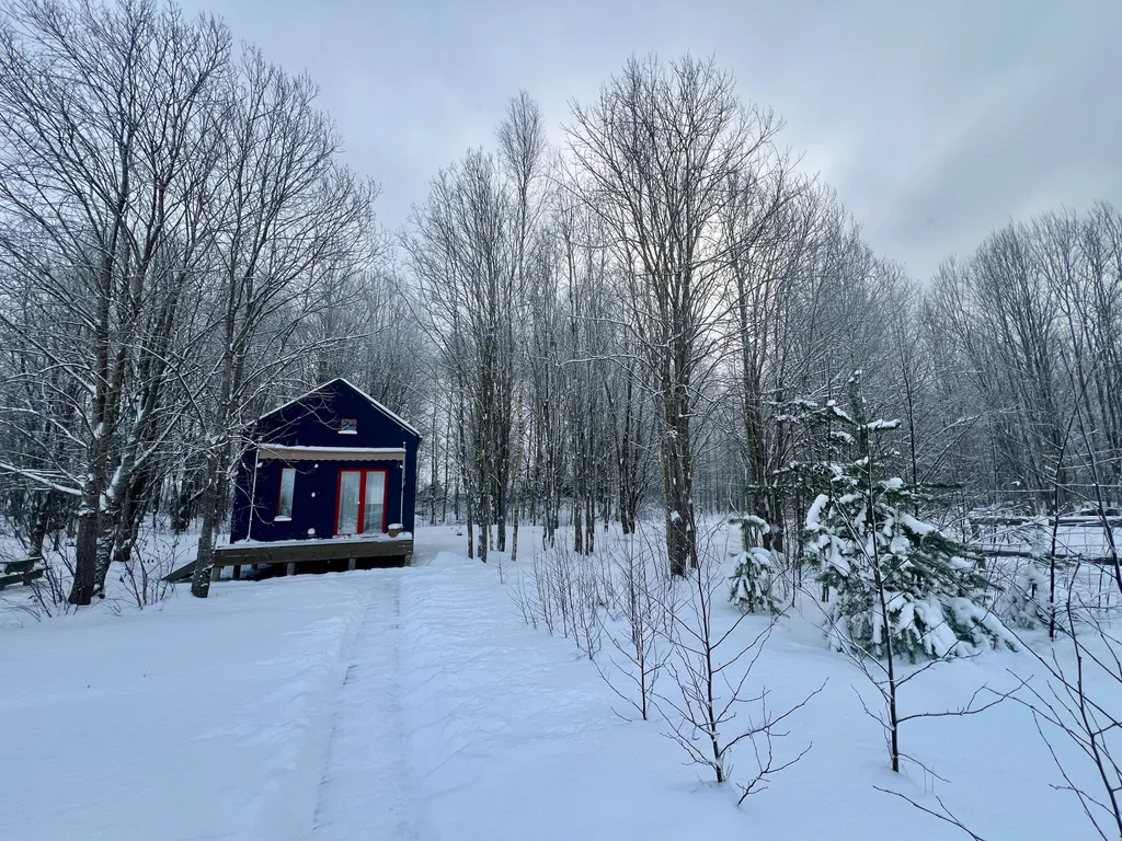 Синий домик в поле