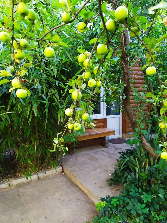 Коттедж 1-комнатный Дом — Севастополь