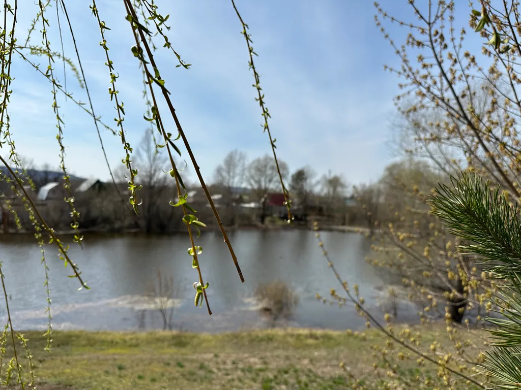 Деревянный домик с русской банькой в Большой Царевщине