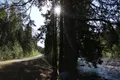 Речка Лососинка в шаговой доступности