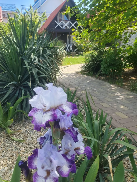 Коттедж ЭкоКомплекс Вояж — Песчаный