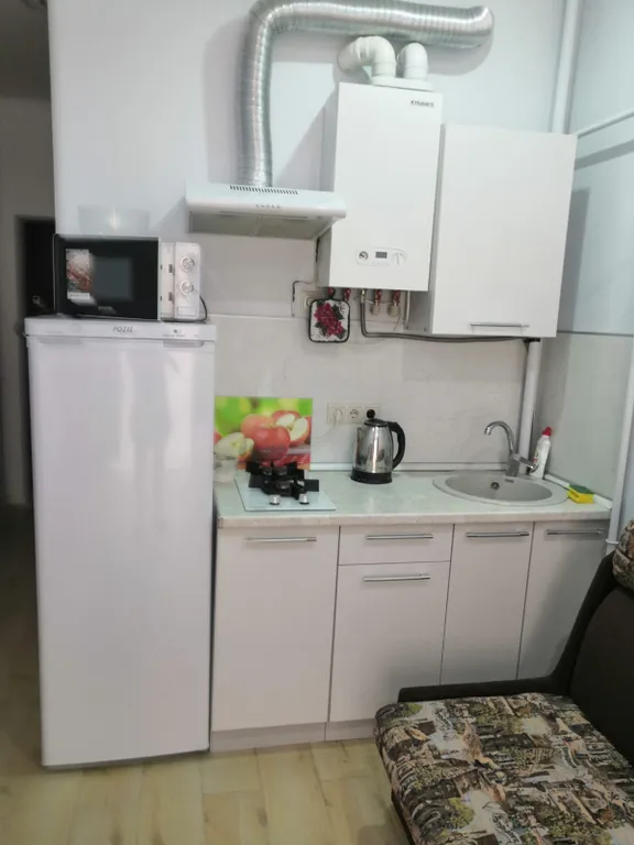 Квартира 1-комнатная Квартира — Сириус