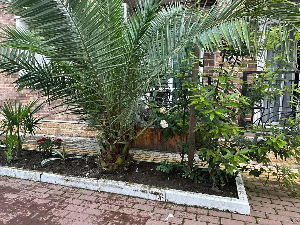 Квартира Квартира Апартамент Фламинго — Сириус