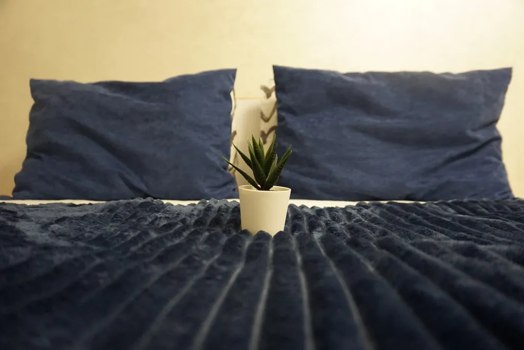 Квартира люкс в центре