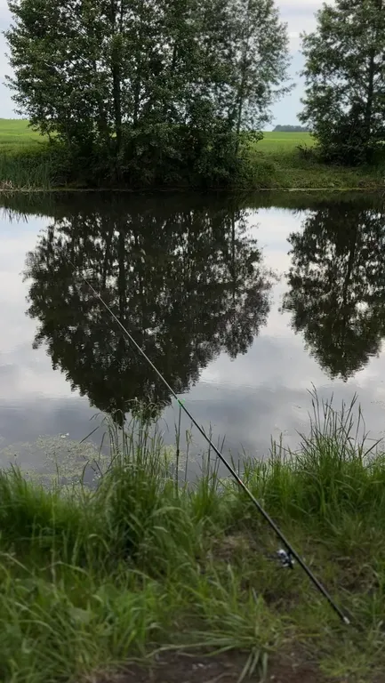Дом между Брестом и Беловежской пущей