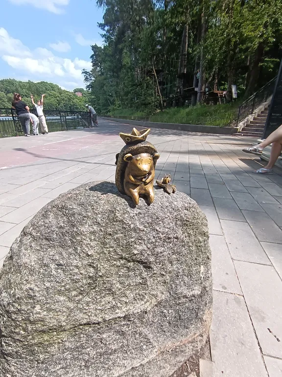 Квартира Уютная квартира — Светлогорск