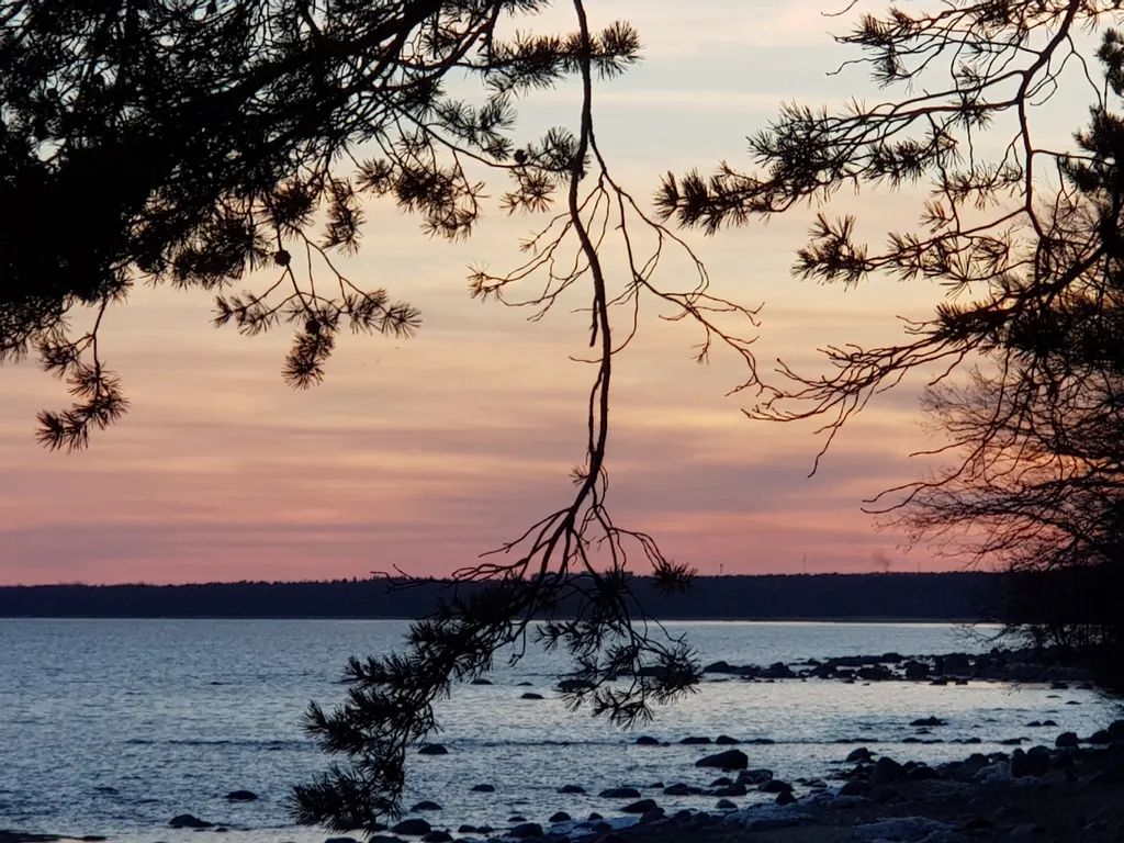 Коттедж Академическая дача (коттедж) у Финского залива, Зеленогорск-Смолячково — Санкт-Петербург