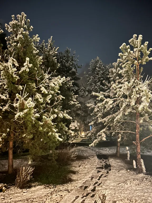 Коттедж Коттедж на 16 мест, семейные праздники, для ретриты, мероприятия, баня — Москва