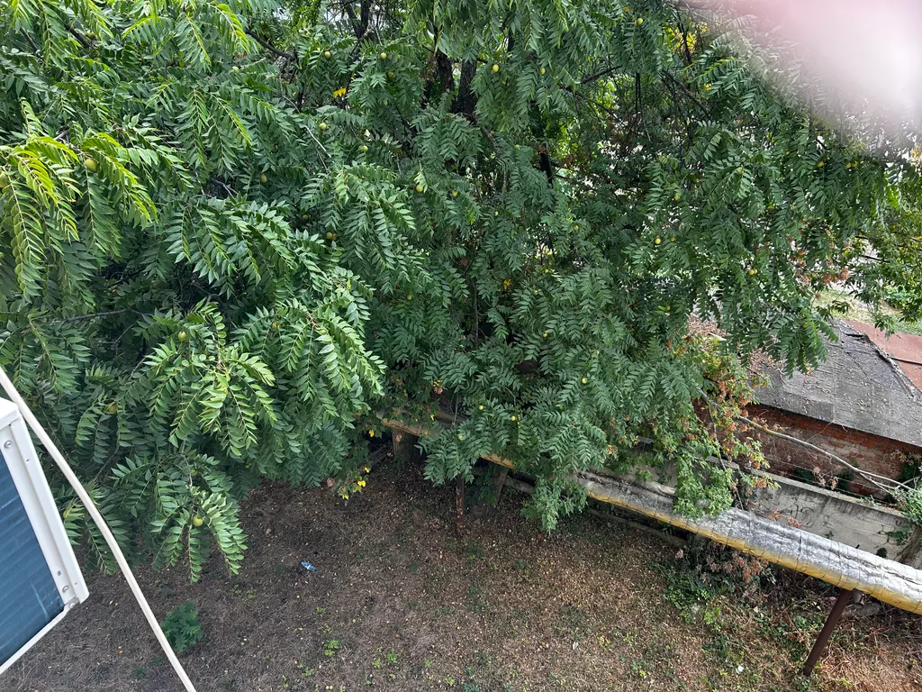 Квартира Квартира Уютная студия в центре — Краснодар