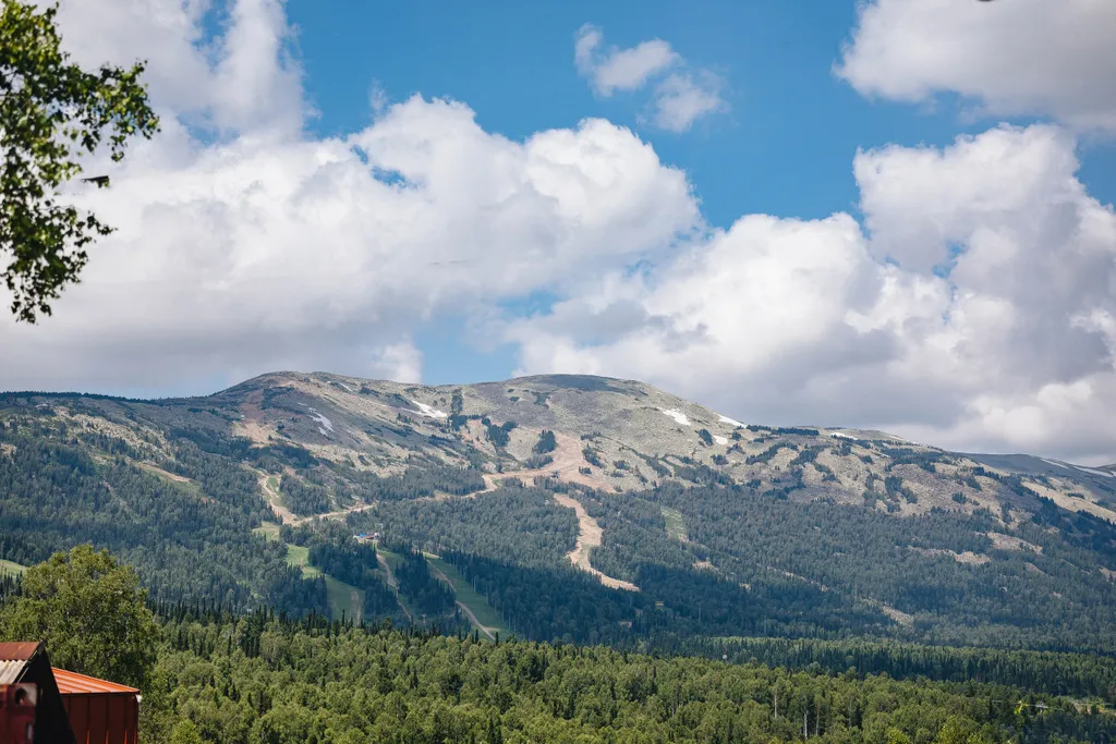 Гостевой дом Бисквит