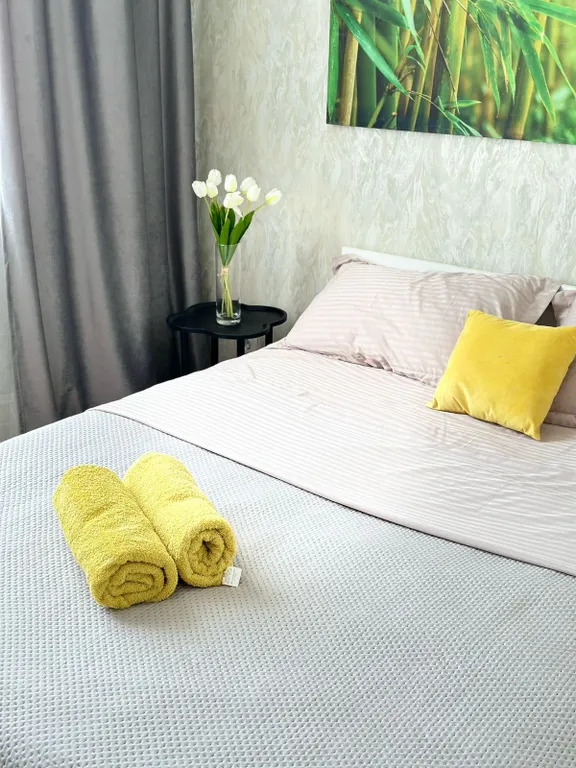 Просторная евродвушка в самом  центре города