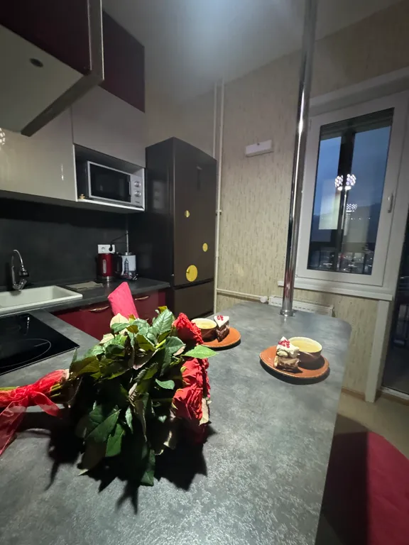 Уютная квартира с красивым видом на горнолыжный курорт Горный воздух