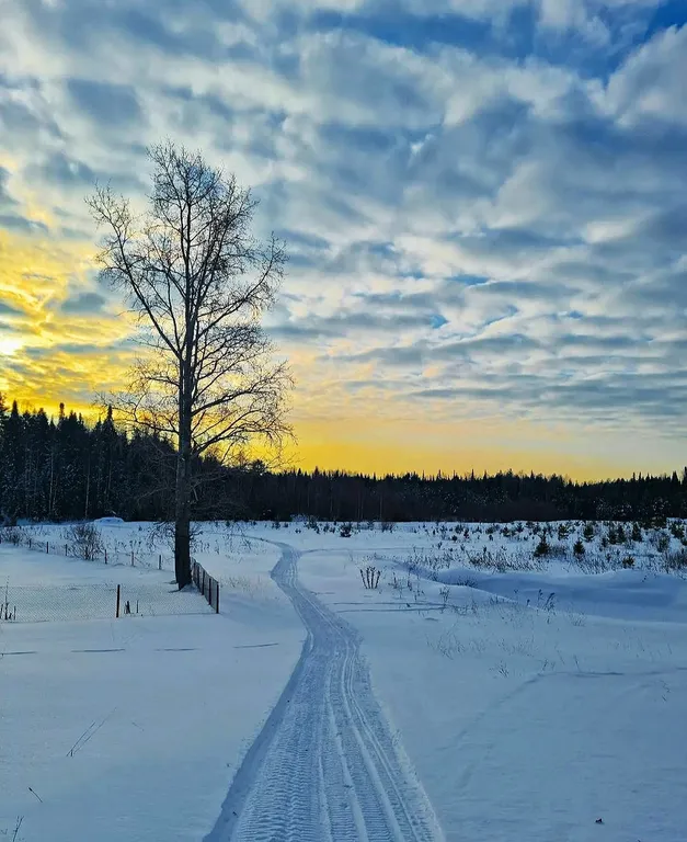 Коттедж Коттедж Северный рай — Кавголово