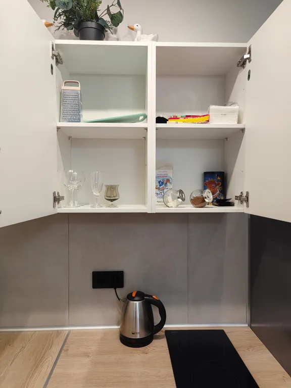 Студия на берегу Оби