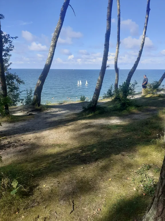 Квартира Уютная однокомнатная квартира в новом доме — Пионерский