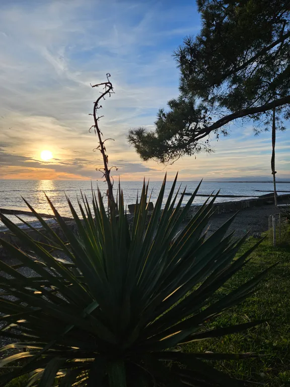 Гостевой Дом Азалия Комната в стиле Бунгало в 50 м от моря